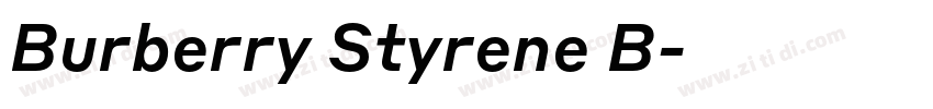 Burberry Styrene B字体转换